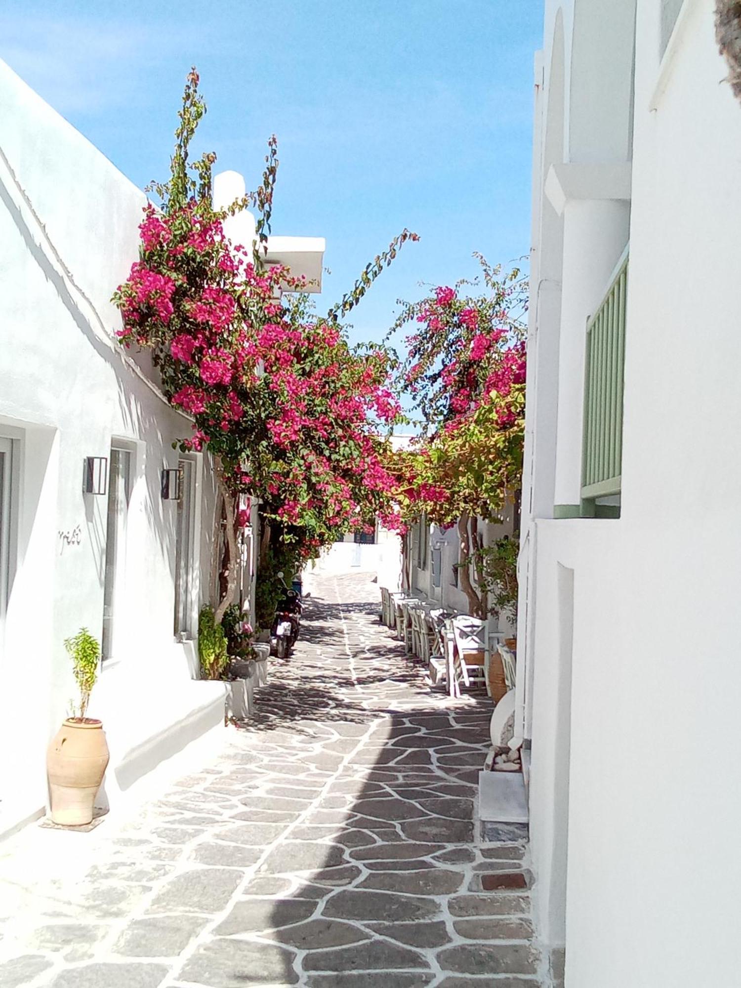 Sunloft-Paros Aparthotel Náousa Exterior foto